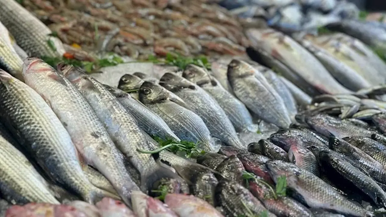 تباين في أسعار الأسماك داخل سوق العبور مع ارتفاع تكلفة البلطي اليوم